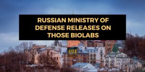 Russian Ministry of Defense Releases On Those BioLabs (gizadeathstar.com)