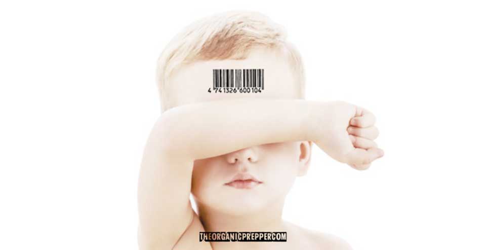 Apparently, the WEF Wants to Track Our Children with RFID Tags (theorganicprepper.com)