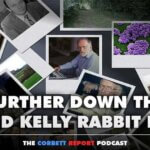 Further Down the David Kelly Rabbit Hole